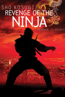 A Vingança do Ninja - Poster / Capa / Cartaz - Oficial 4