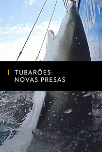 Tubarões: Novas Presas - Poster / Capa / Cartaz - Oficial 1