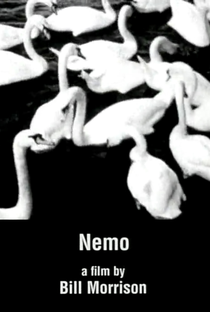 Nemo - Poster / Capa / Cartaz - Oficial 1
