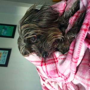 Foto de perfil de LN Archives