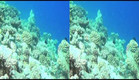 Amazing Ocean in 3D 1080 HD (movie trailer).avi