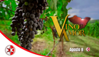 Vino el amor | Canal de las Estrellas