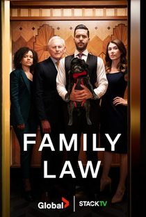 Family Law (3ª Temporada) - Poster / Capa / Cartaz - Oficial 1