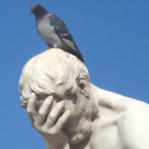 Foto de perfil de cosmik