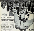 The Little Clown