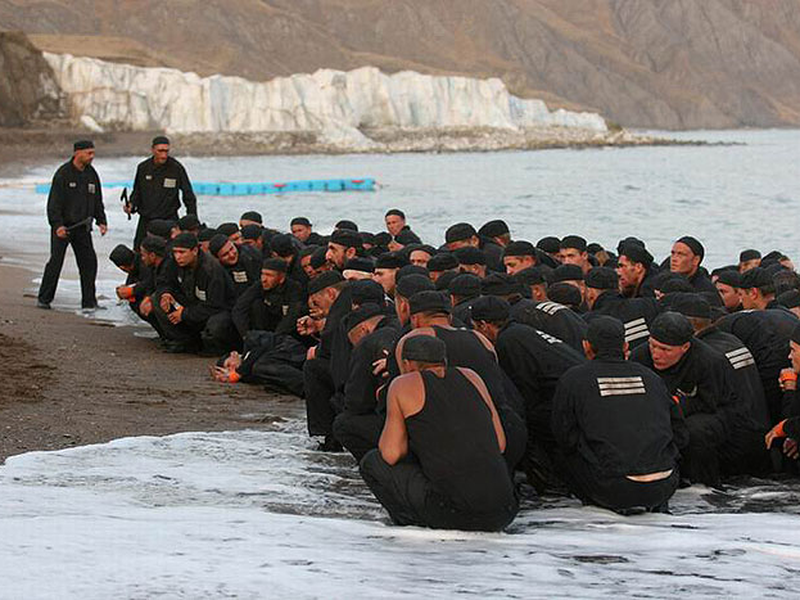 Foto 3 de Terra Nova