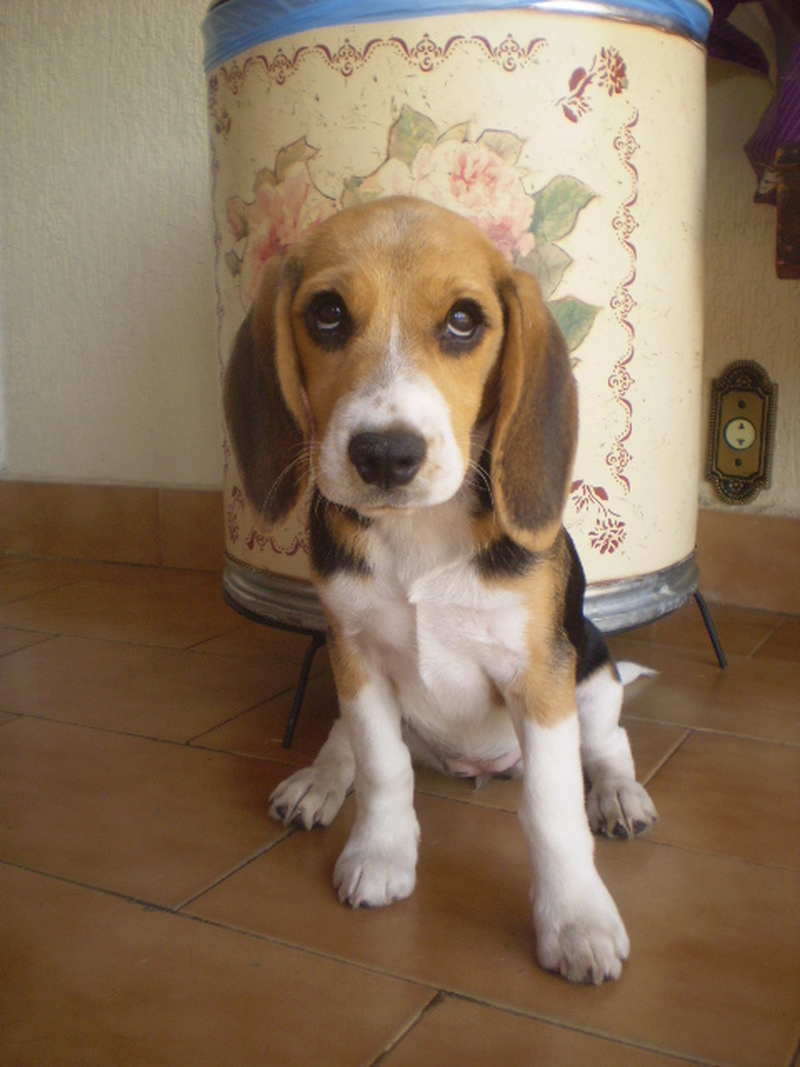 Cristina - Foto 4