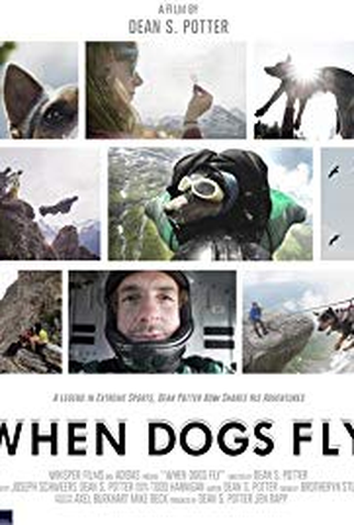 Poster 1 de Filme When Dogs Fly (2015)