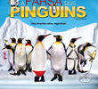 A Farsa dos Pingüins