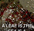 A Leaf is the Sea is a Theater