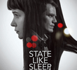 State Like Sleep