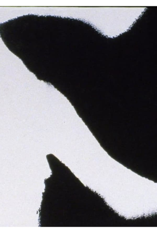 Poster 1 de Curta Errata (2005)