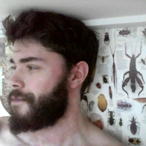 Foto de perfil de Zeff Guedes