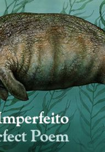 O Poema Imperfeito (O Poema Imperfeito)