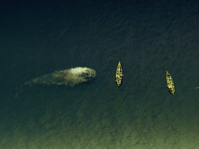 Foto 1 de No Coração do Mar