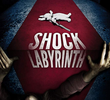 The Shock Labyrinth 3D