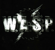 W.A.S.P. ‎First Blood... Last Visions 