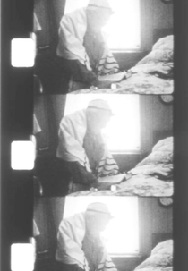 Whole Note (Whole Note)