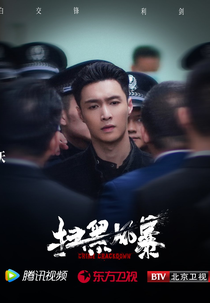 Crime Crackdown (扫黑风暴)