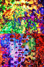 Cyanonide (Cyanonide)