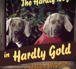The Hardly Boys in Hardly Gold