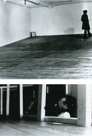 Poster 1 de Curta Seedbed (1972)