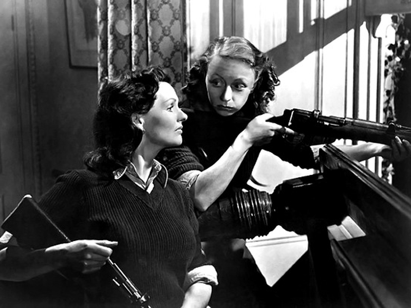 Foto 1 de Pett and Pott