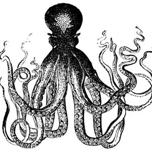 Foto de perfil de Bernardo