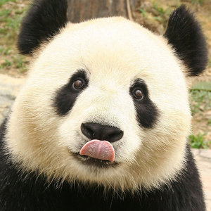 Foto de perfil de Tamara