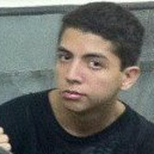 Foto de perfil de Alexandre