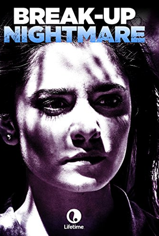 Poster 1 de Filme Destruída na Internet (2016)