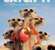 Catch It