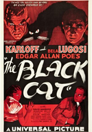 O Gato Preto (The Black Cat)