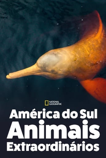 América do Sul: Animais Extraordinários - Poster / Capa / Cartaz - Oficial 2