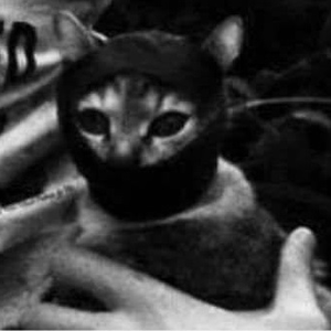 Foto de perfil de Punk Floyd