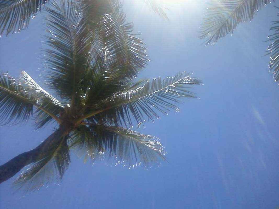 thiago andrade - Foto 1