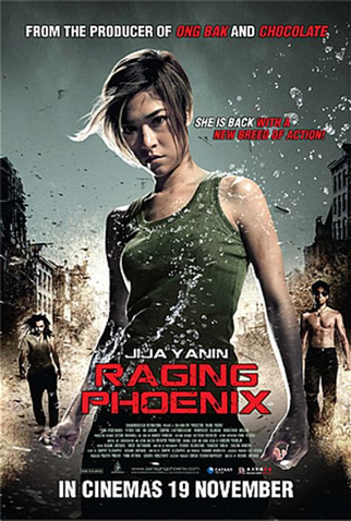 Poster 1 de Filme A Fênix Furiosa (2009)