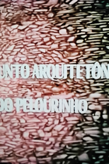 Conjunto Arquitetônico do Pelourinho (Conjunto Arquitetônico do Pelourinho)