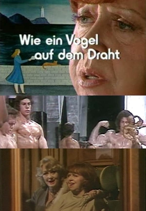 Como um Pássaro no Fio (Wie ein Vogel auf dem Draht)