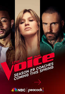 The Voice (29ª Temporada) (The Voice (Season 29))