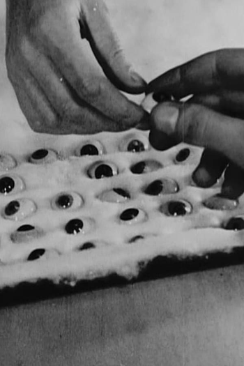 Poster de Curta Pour vos beaux yeux (1929)