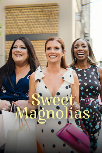 Poster de Franquia Sweet Magnolias (2020)