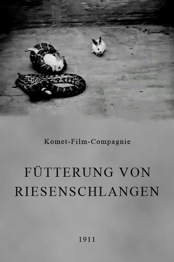 Poster de Curta Fütterung von Riesenschlangen (1911)