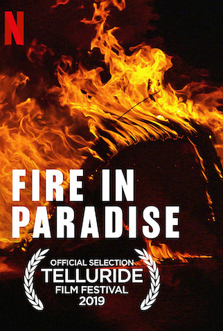 Poster 4 de Curta Paradise em Chamas (2019)