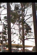 Entrevista com as Coisas (Entrevista com as Coisas)