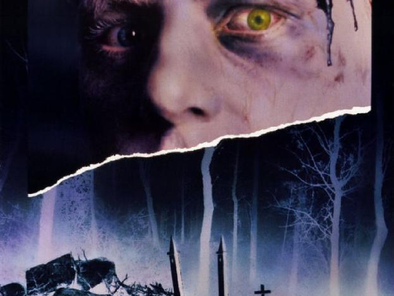 Foto 12 de Cemitério Maldito