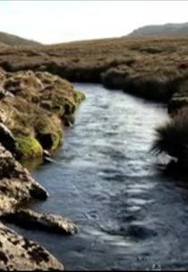 The Vale of Belvoir (The Vale of Belvoir)