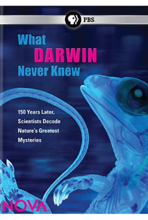 "Nova "O Que Darwin Nunca Soube - Poster / Capa / Cartaz - Oficial 1
