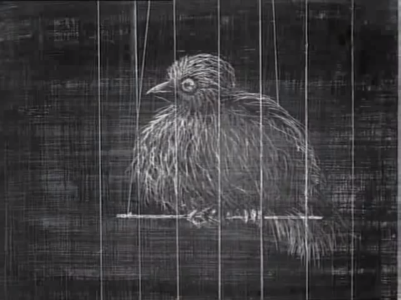 Foto 2 de Wolnosc Nog