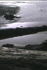 Incidence of Catastrophe (Incidence of Catastrophe)